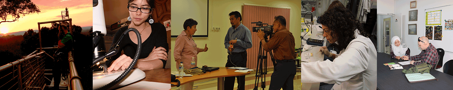 Cooperation betwean dofferent Universities